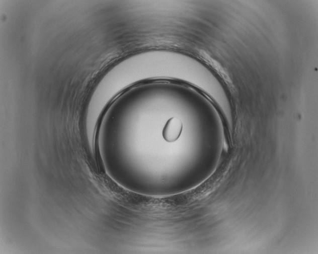 X0000090500209200707131400