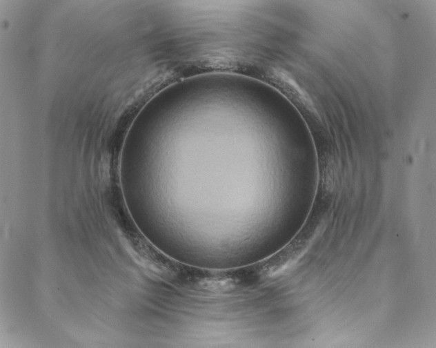 X0000090500213200707131400