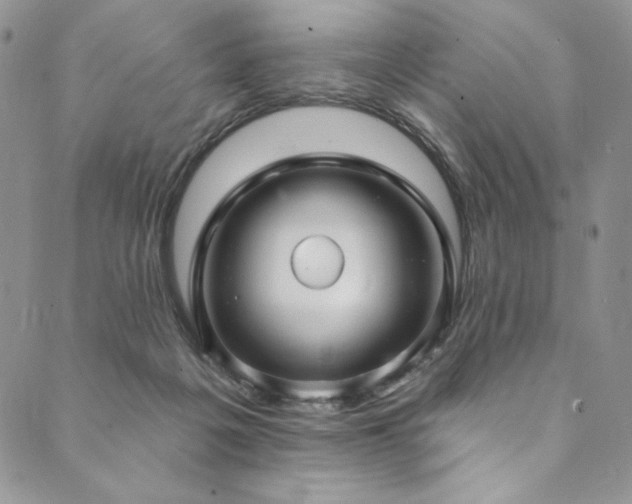 X0000090500217200707131400