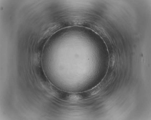 X0000090500218200707131400