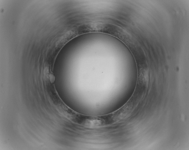 X0000090500220200707131400