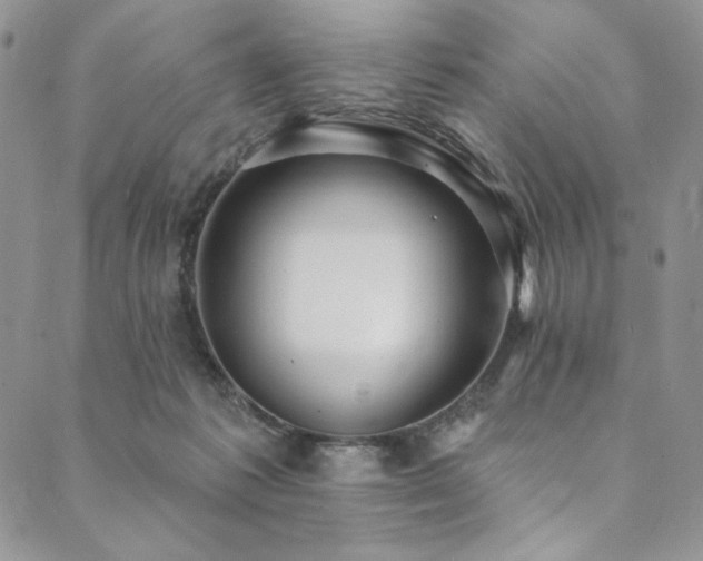 X0000090500221200707131400