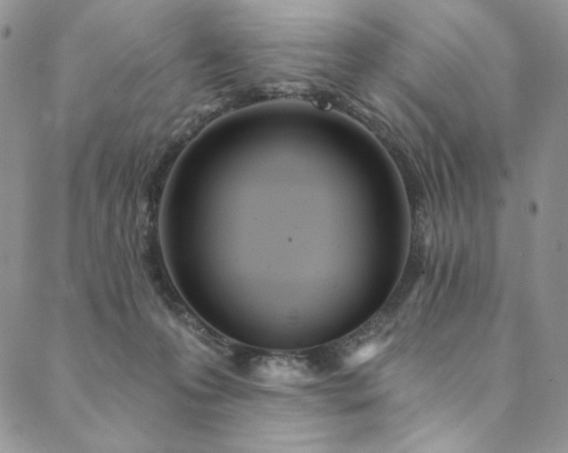 X0000090500223200707131400