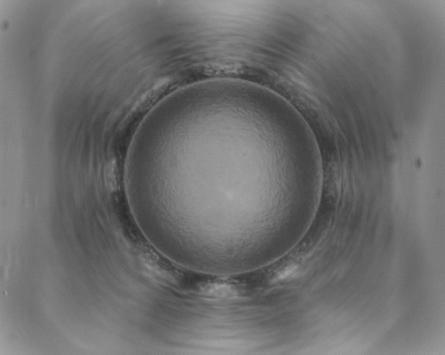 X0000090500224200707131400