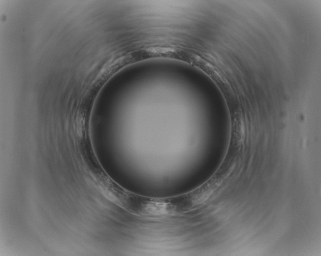 X0000090500227200707131400