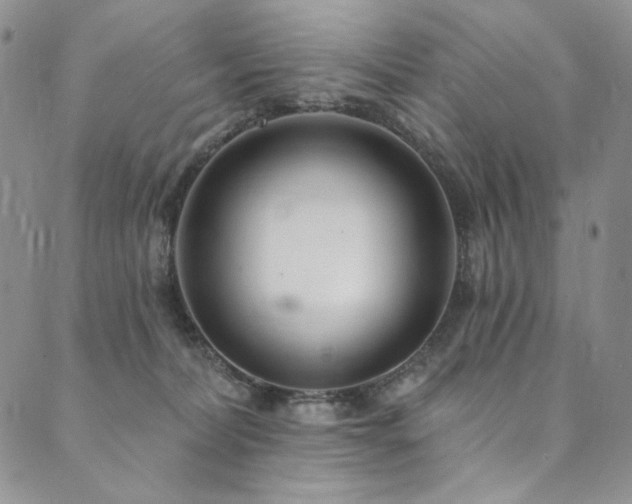 X0000090500228200707131400