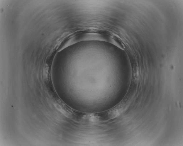X0000090500231200707131400