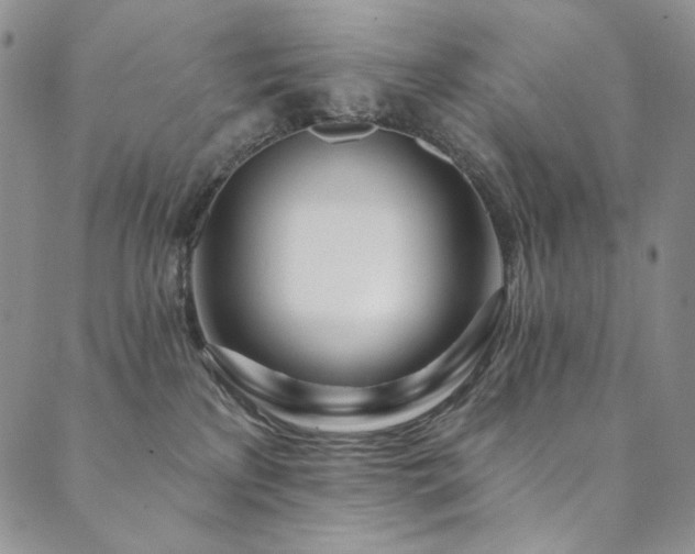 X0000090500233200707131400