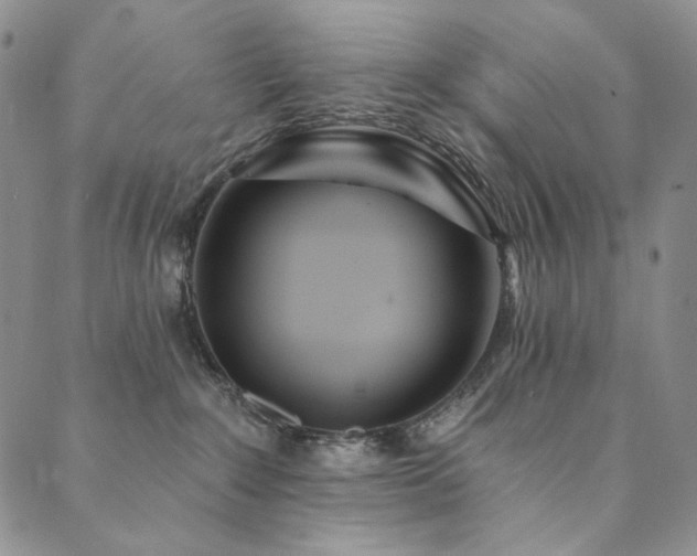 X0000090500235200707131400