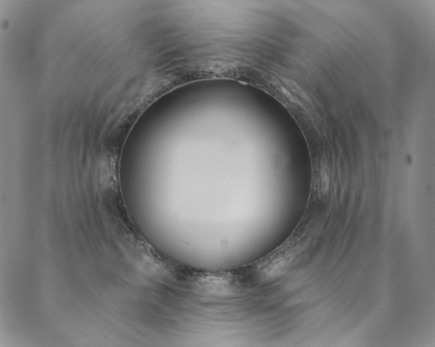 X0000090500236200707131400