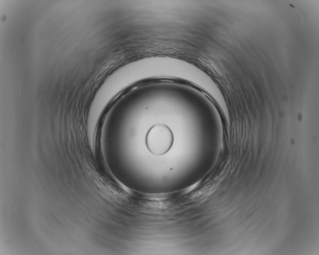 X0000090500237200707131400