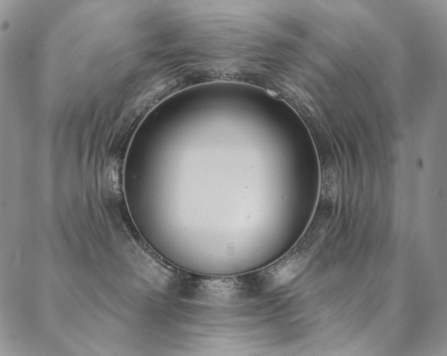 X0000090500238200707131400