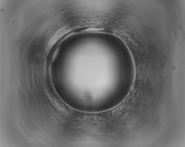 X0000090500242200707131359
