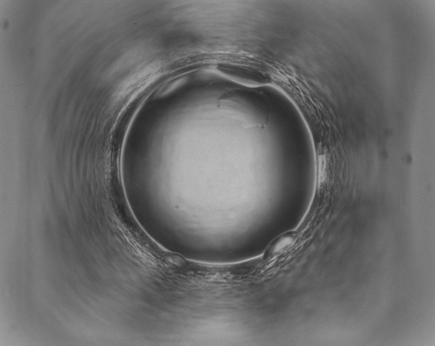 X0000090500243200707131359