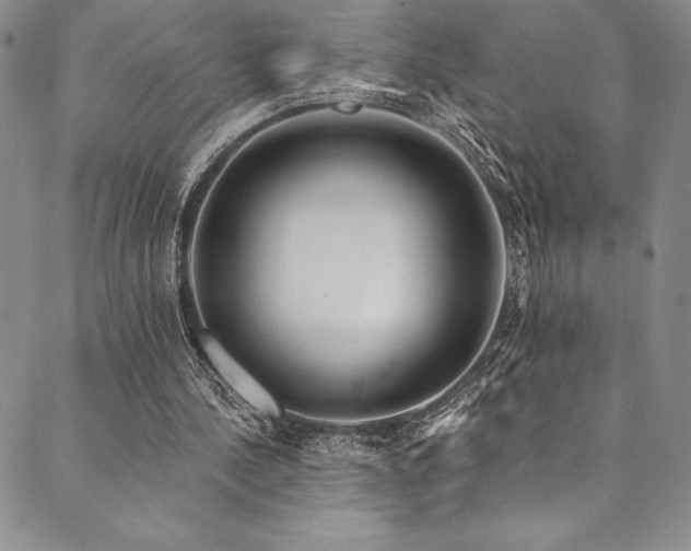 X0000090500244200707131359