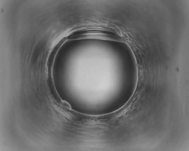X0000090500246200707131359