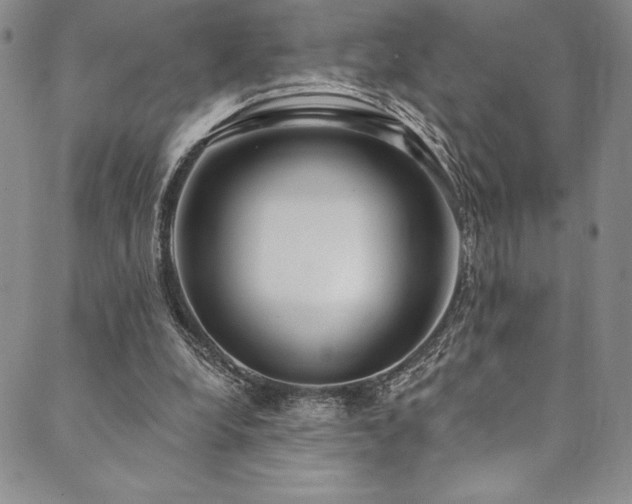 X0000090500248200707131359