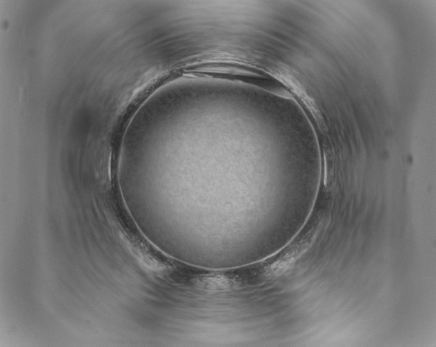 X0000090500253200707131359