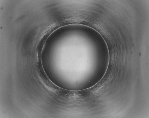 X0000090500254200707131359