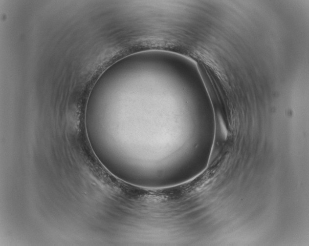 X0000090500255200707131359