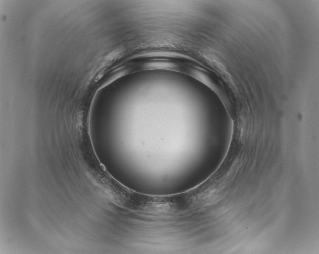 X0000090500260200707131359