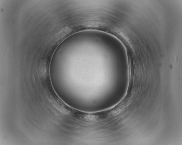 X0000090500261200707131359