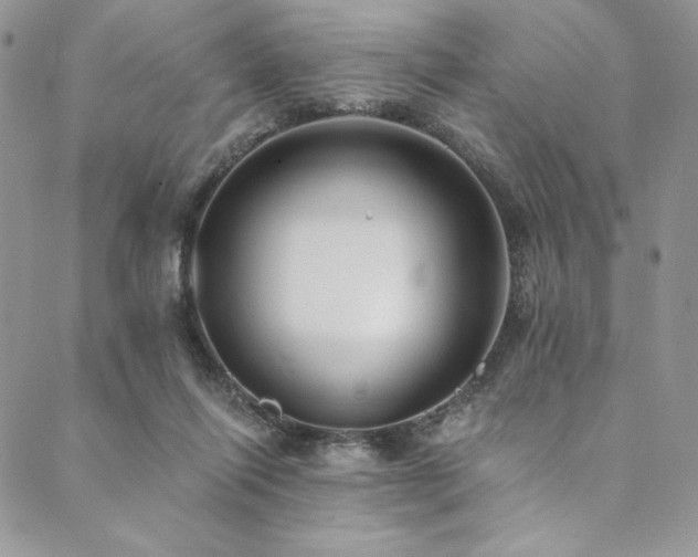 X0000090500262200707131359