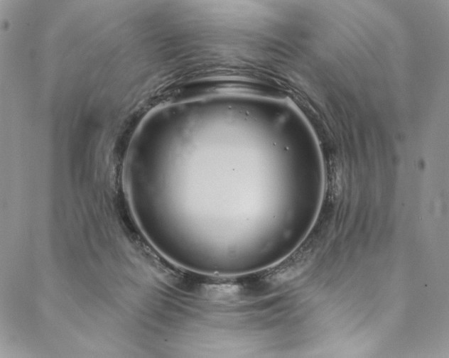 X0000090500266200707131359