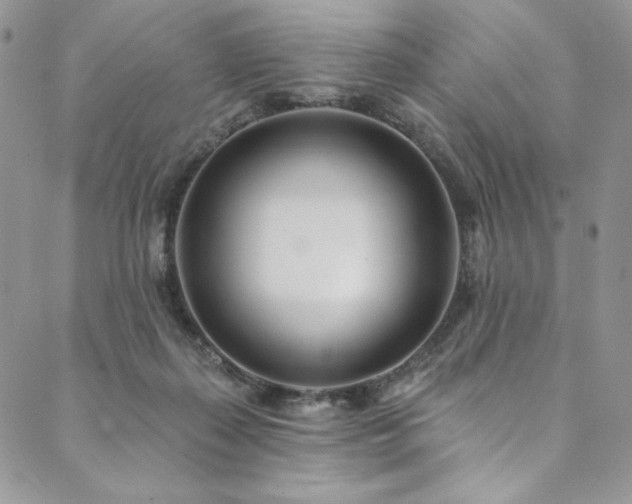 X0000090500267200707131359