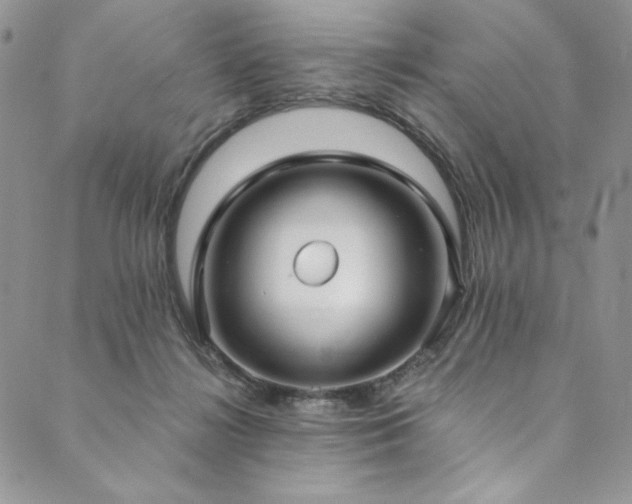 X0000090500268200707131359