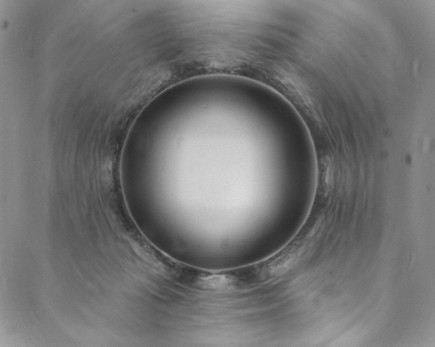 X0000090500269200707131359
