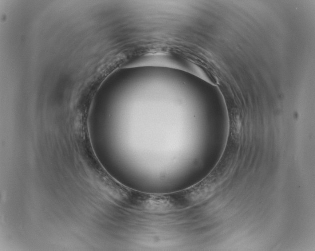 X0000090500270200707131359