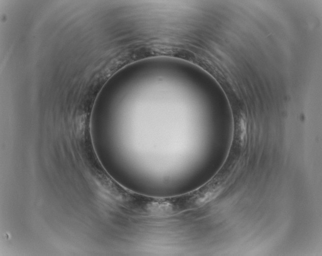 X0000090500271200707131359