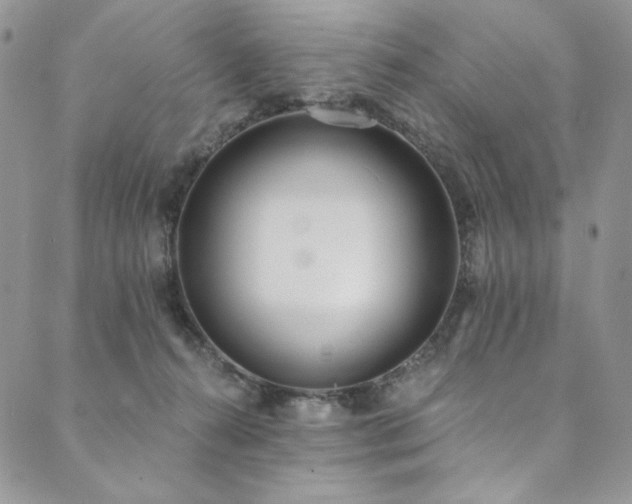 X0000090500272200707131359