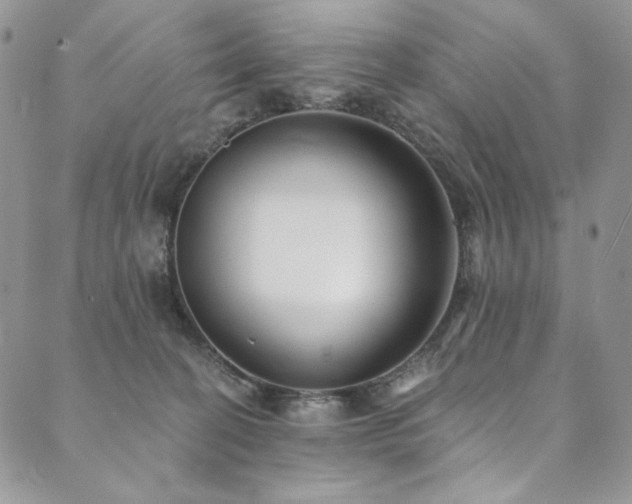 X0000090500274200707131359