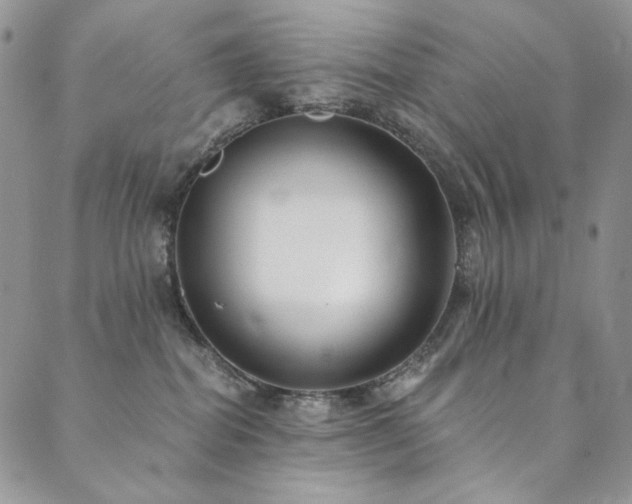 X0000090500282200707131400