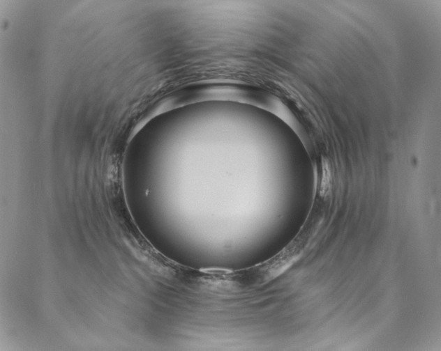 X0000090500284200707131400