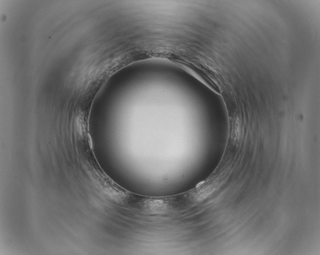 X0000090500287200707131400