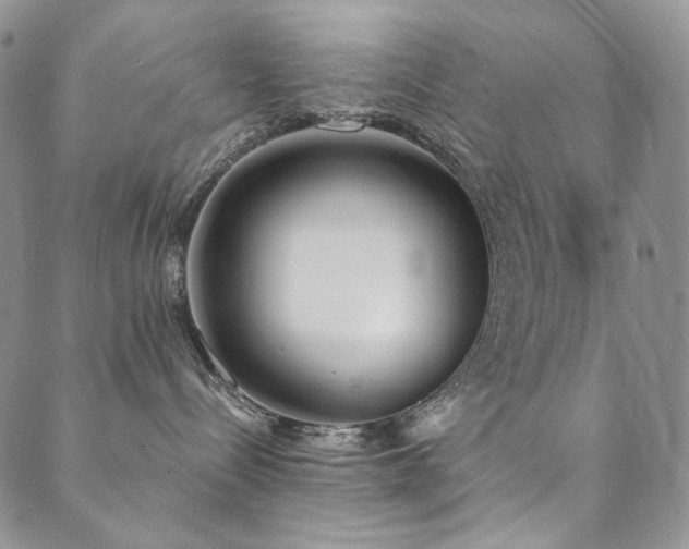 X0000090500288200707131400