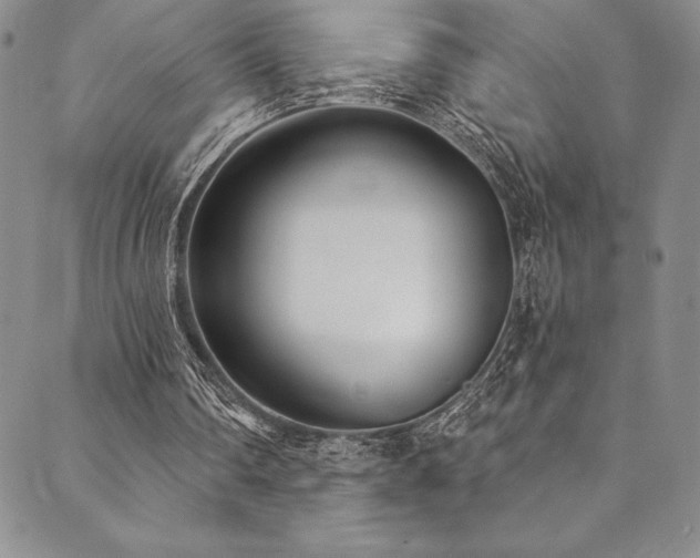X0000090500290200707131359