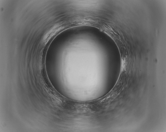 X0000090500291200707131359
