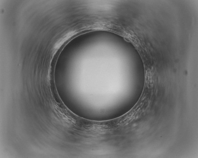 X0000090500292200707131359
