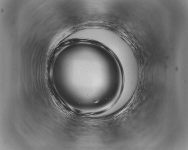 X0000090500293200707131359