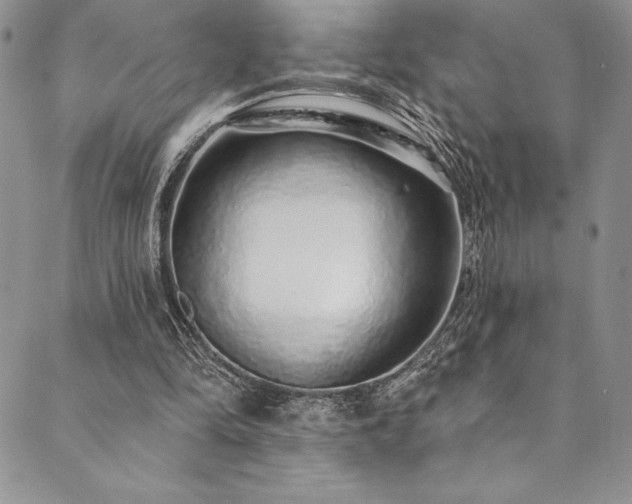 X0000090500294200707131359