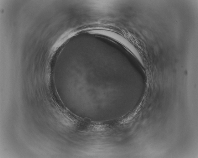 X0000090500295200707131359