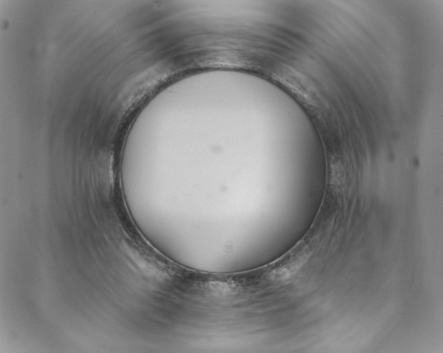 X0000090500302200707131359