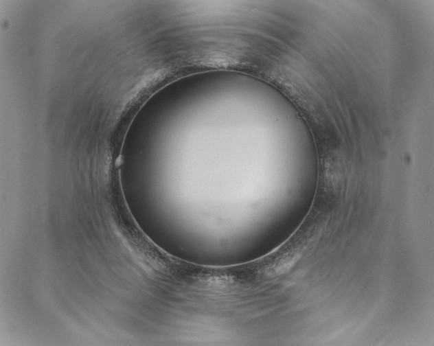 X0000090500304200707131359
