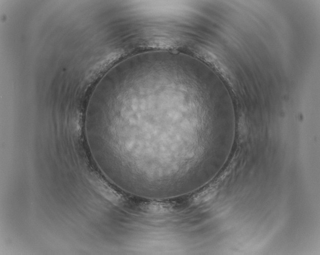 X0000090500305200707131359