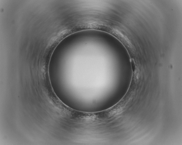 X0000090500306200707131359
