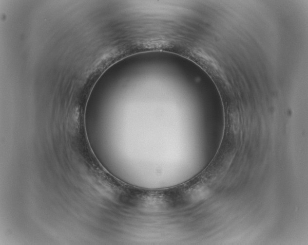 X0000090500308200707131359